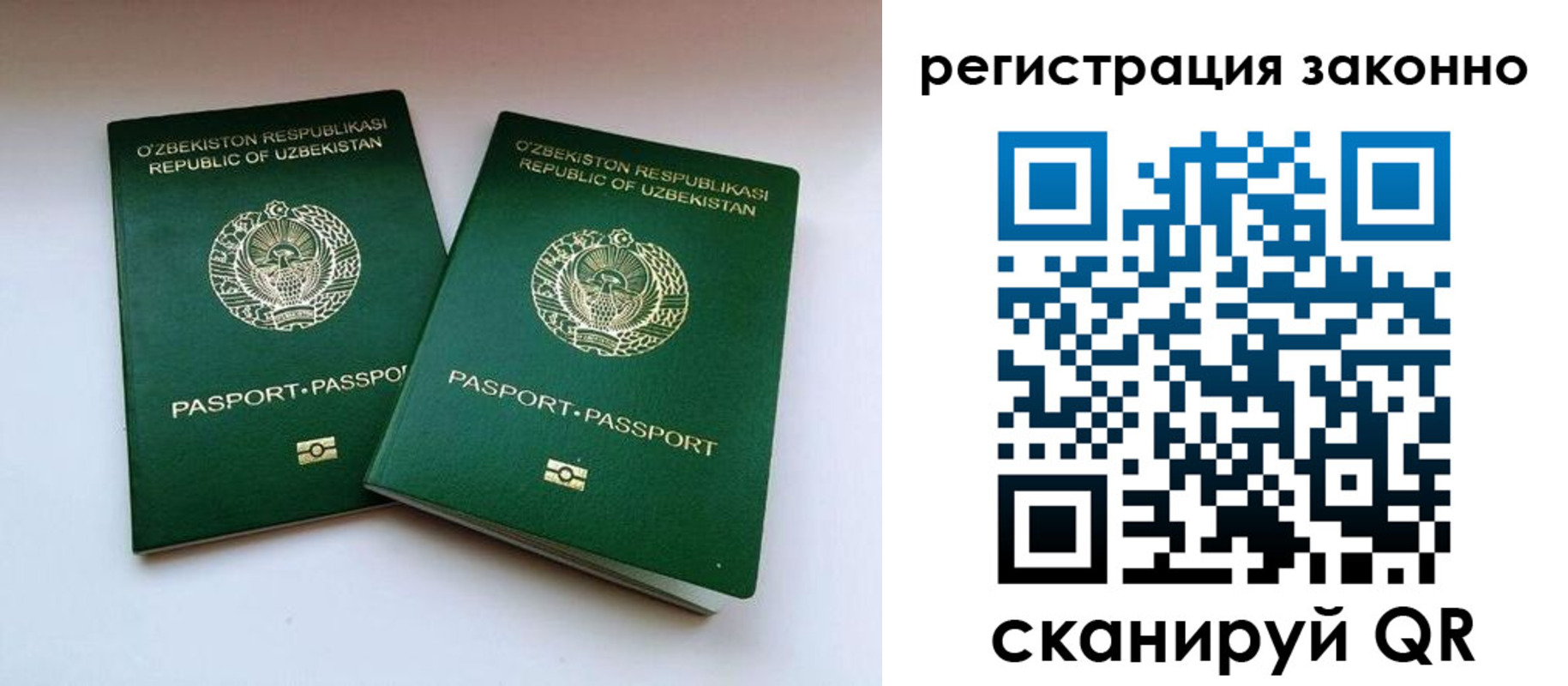 прописка гарантия в Котово